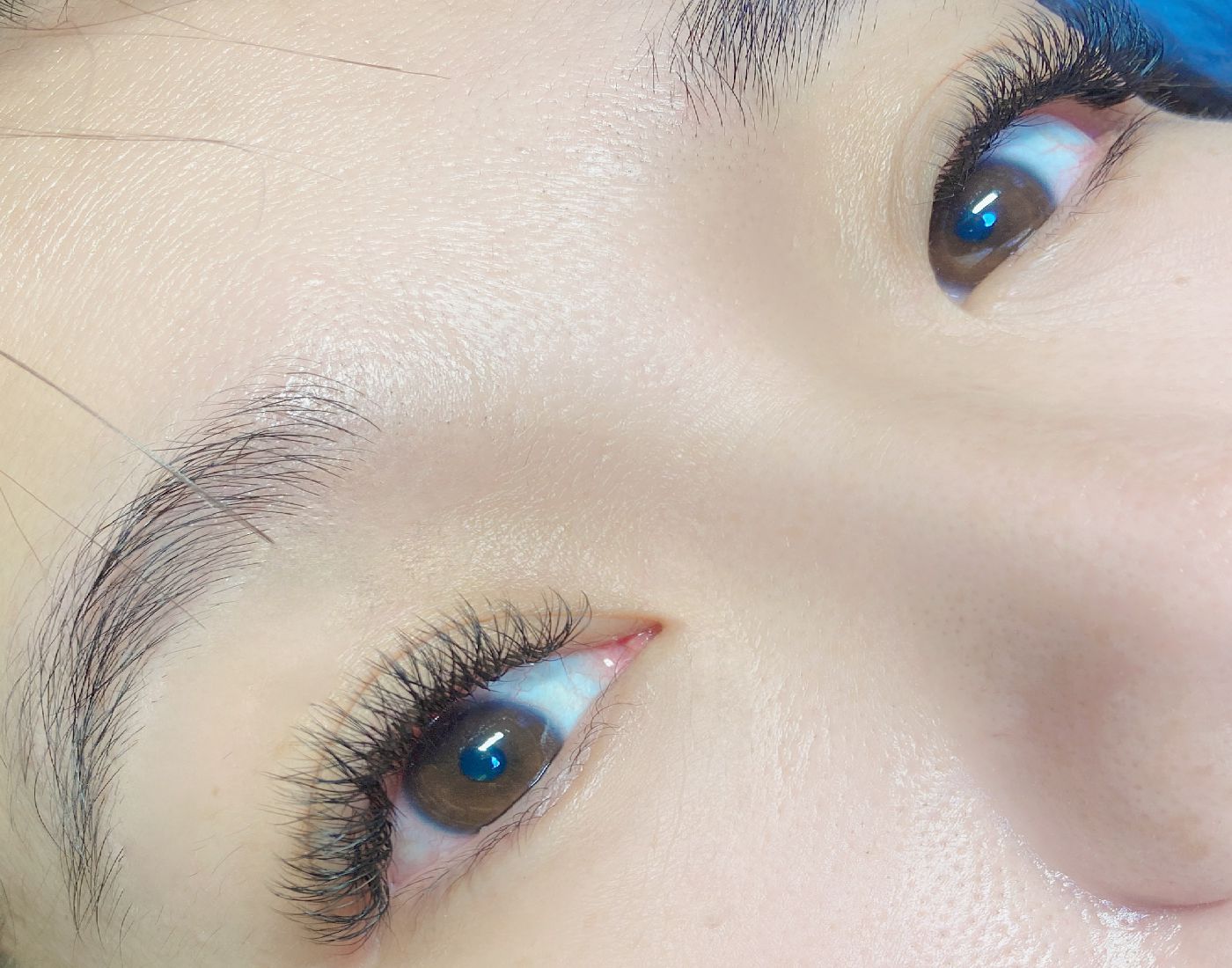 特製五葉草+YY人魚mix